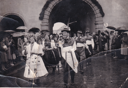 Folklorna grupa iz Stinjakov u Beču