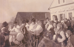 Vučenje hrasta 1950.: tancanje