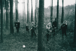 Dica pomažu u gori oko 1970.