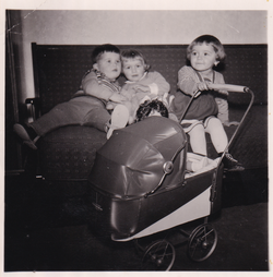 Dica se igraju u iži		