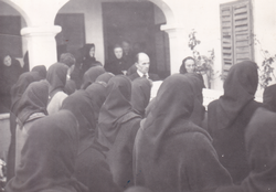 Mrtvaca nosu iz dvora 		